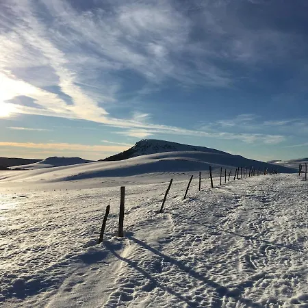 - Four à Pain Au Cœur Des Volcans Vernines