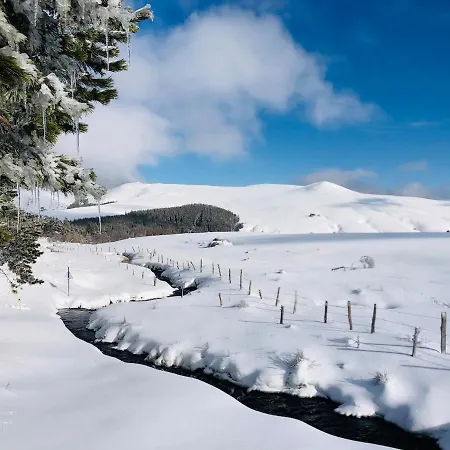 Hébergement de vacances - Four à Pain Au Cœur Des Volcans Vernines