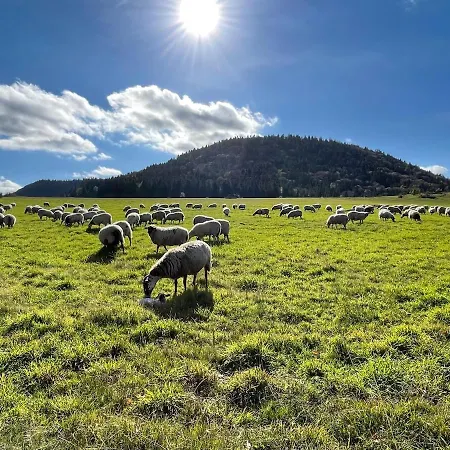 - Four à Pain Au Cœur Des Volcans Vernines