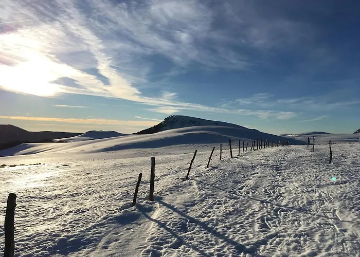 - Four A Pain Au Coeur Des Volcans Vernines