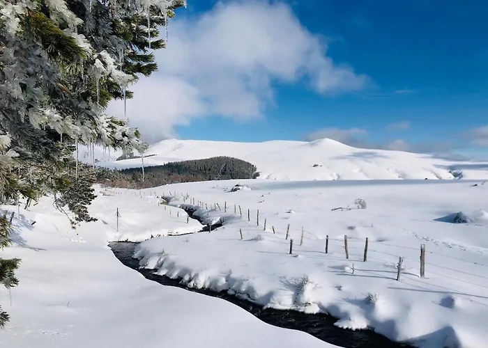 Дом отдыха - Four A Pain Au Coeur Des Volcans Vernines