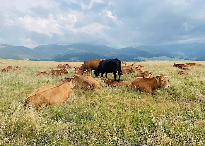 - Four A Pain Au Coeur Des Volcans Дом отдыха