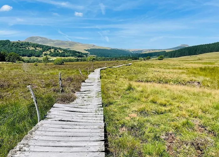 - Four A Pain Au Coeur Des Volcans *