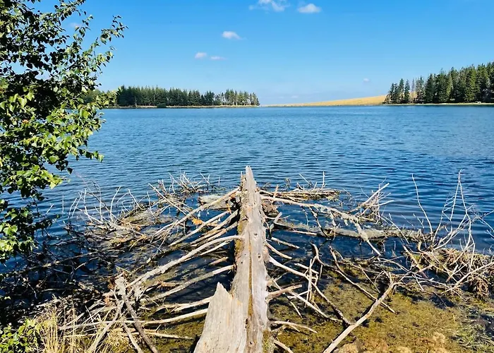 Дом отдыха - Four A Pain Au Coeur Des Volcans