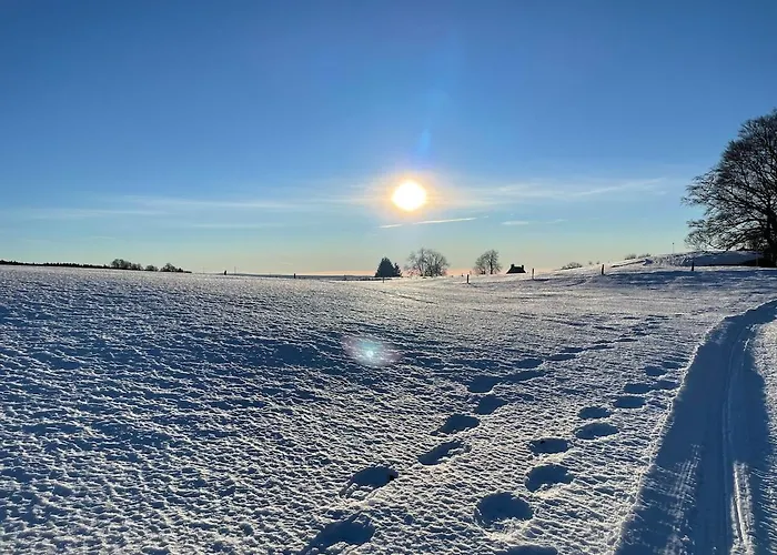 - Four A Pain Au Coeur Des Volcans * Vernines