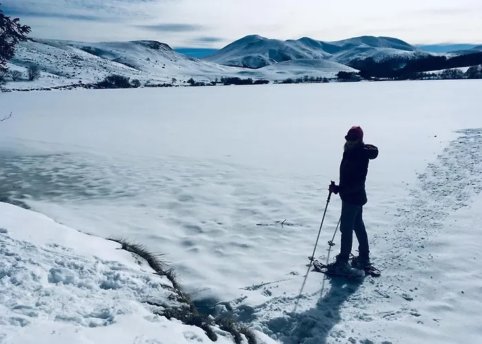 - Four A Pain Au Coeur Des Volcans